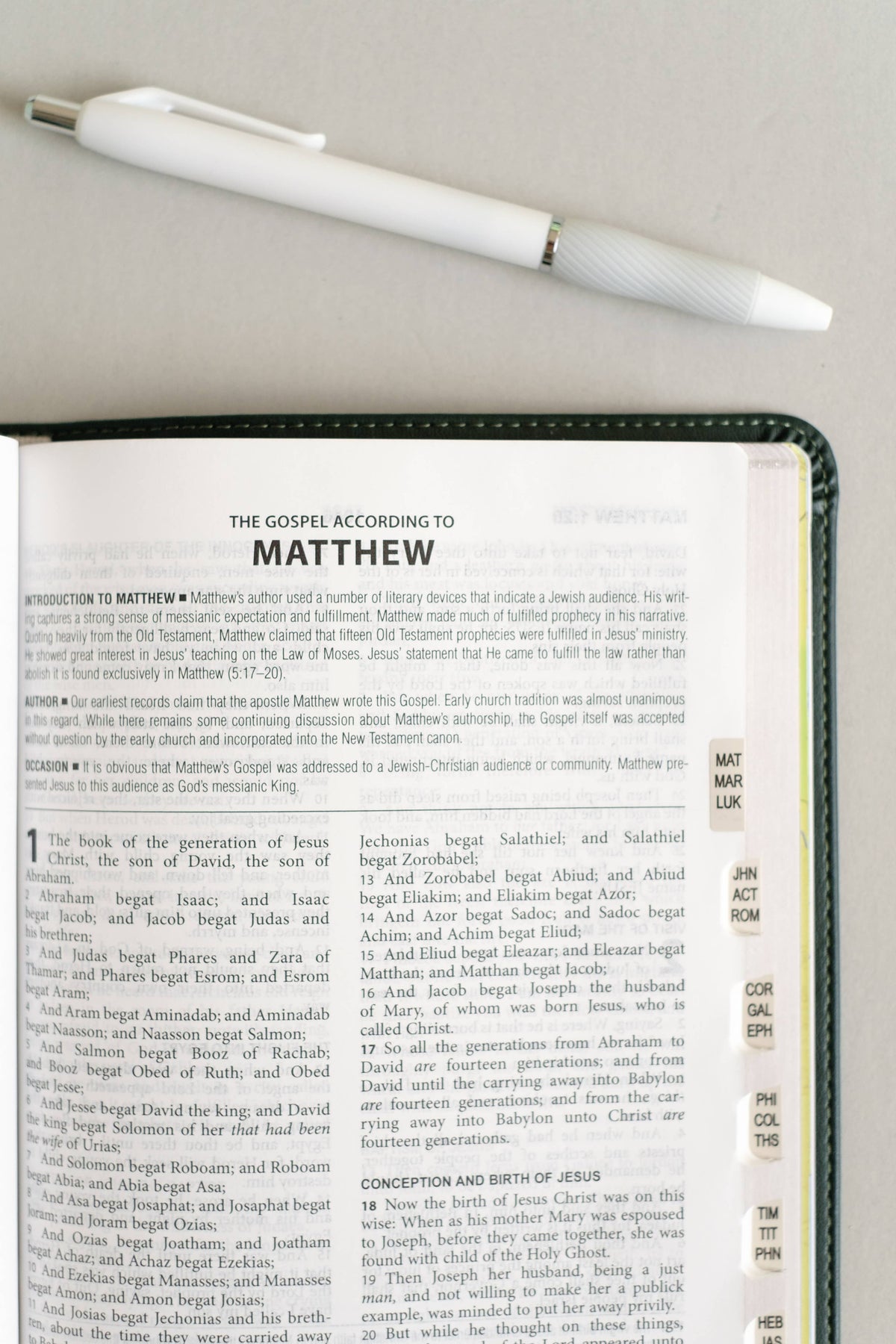 The KJV Study Bible, Indexed (Evergreen Fog)