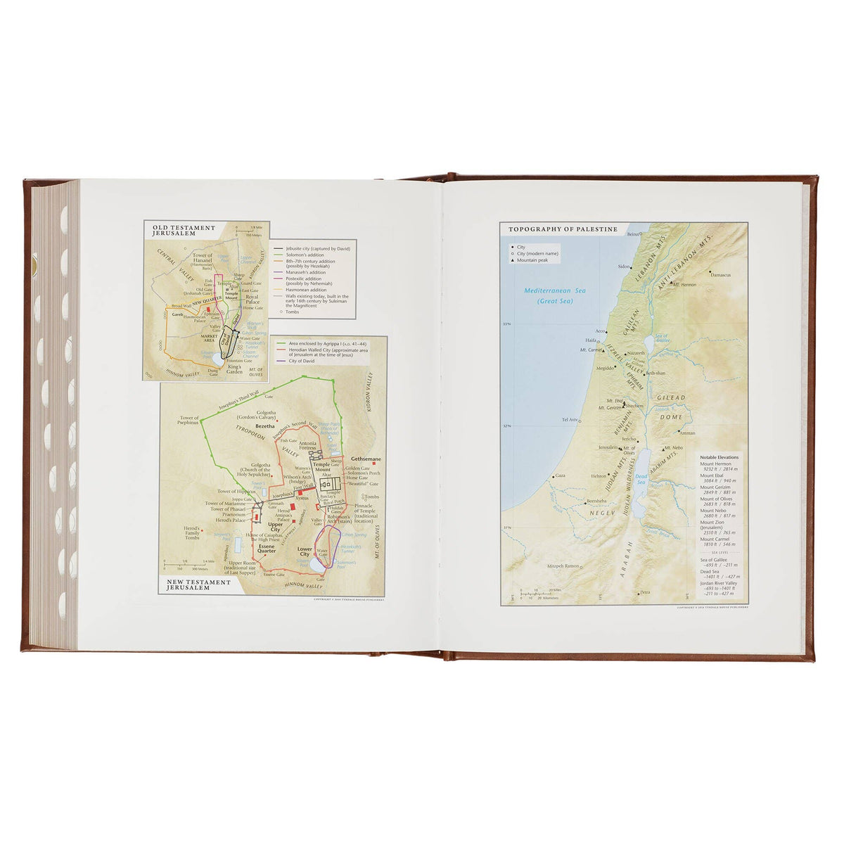 NLT, The Family Heritage Bible Hardcover, Brown