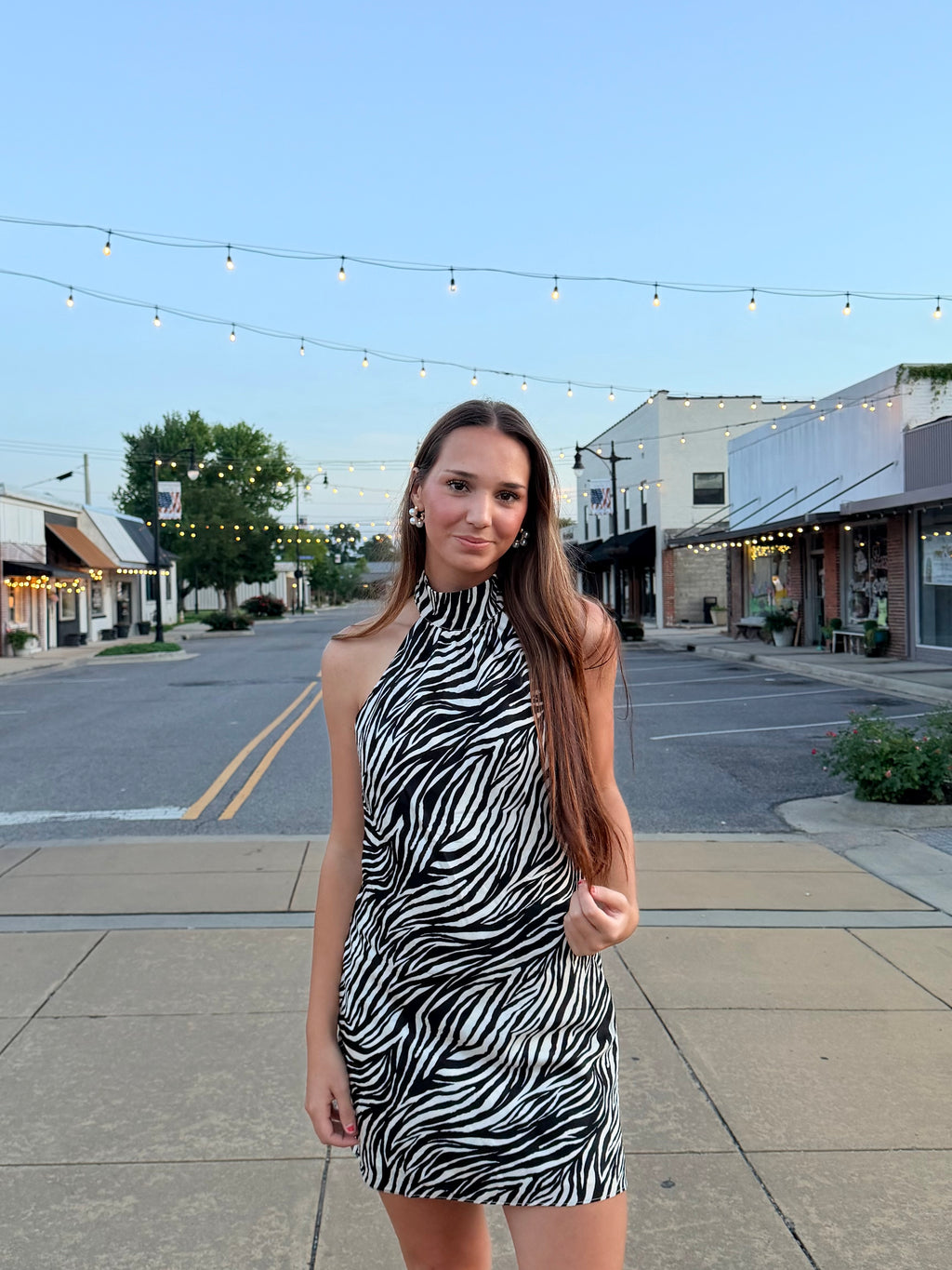 Zebra Dress