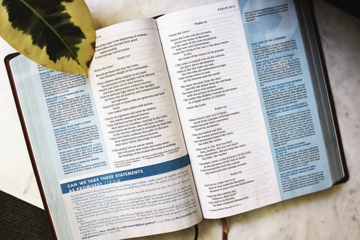 NIV Quest Study Bible, Large Print, Leathersoft Brown