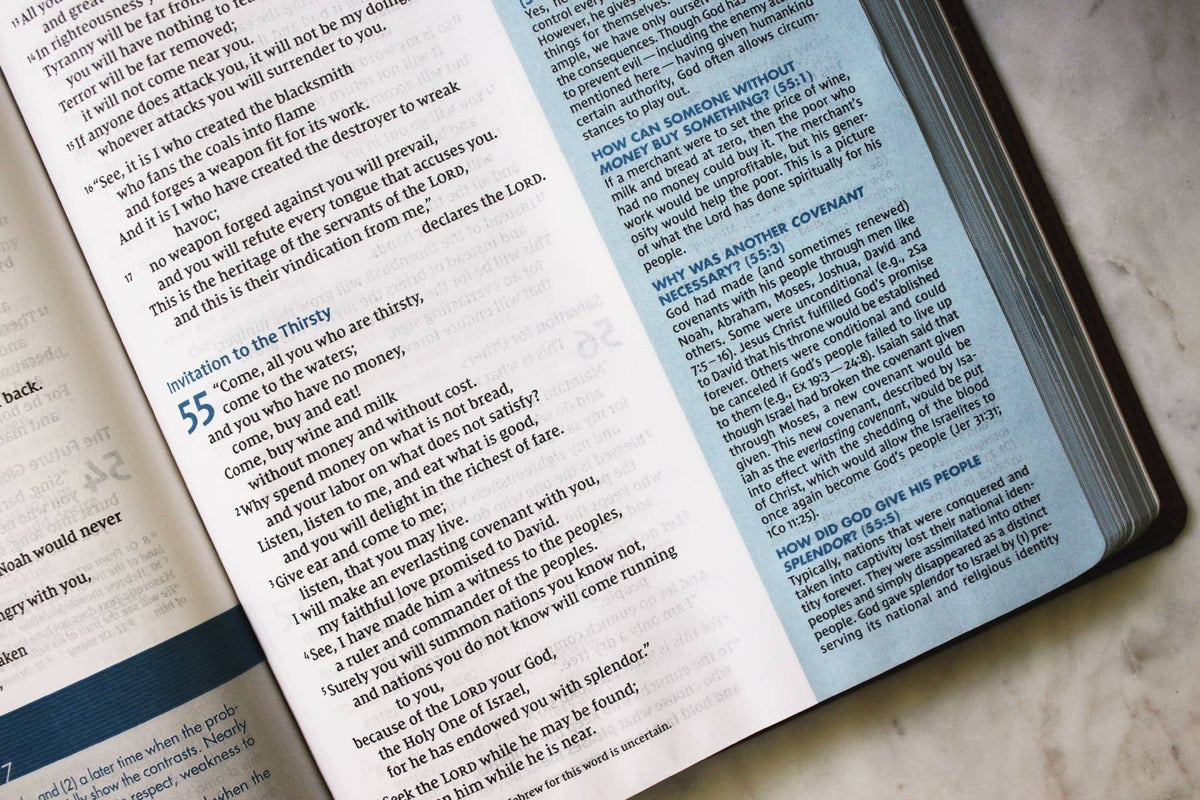 NIV Quest Study Bible, Large Print, Leathersoft Brown