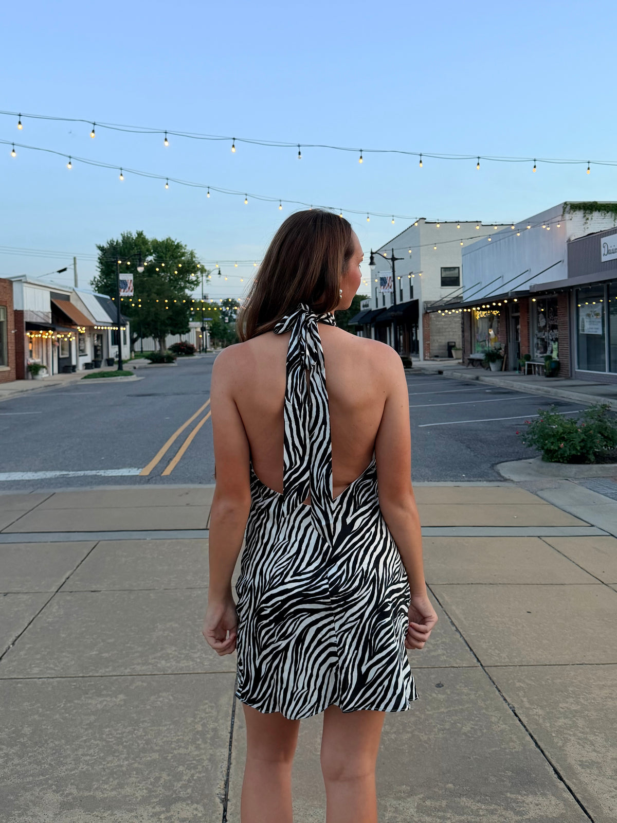 Zebra Dress