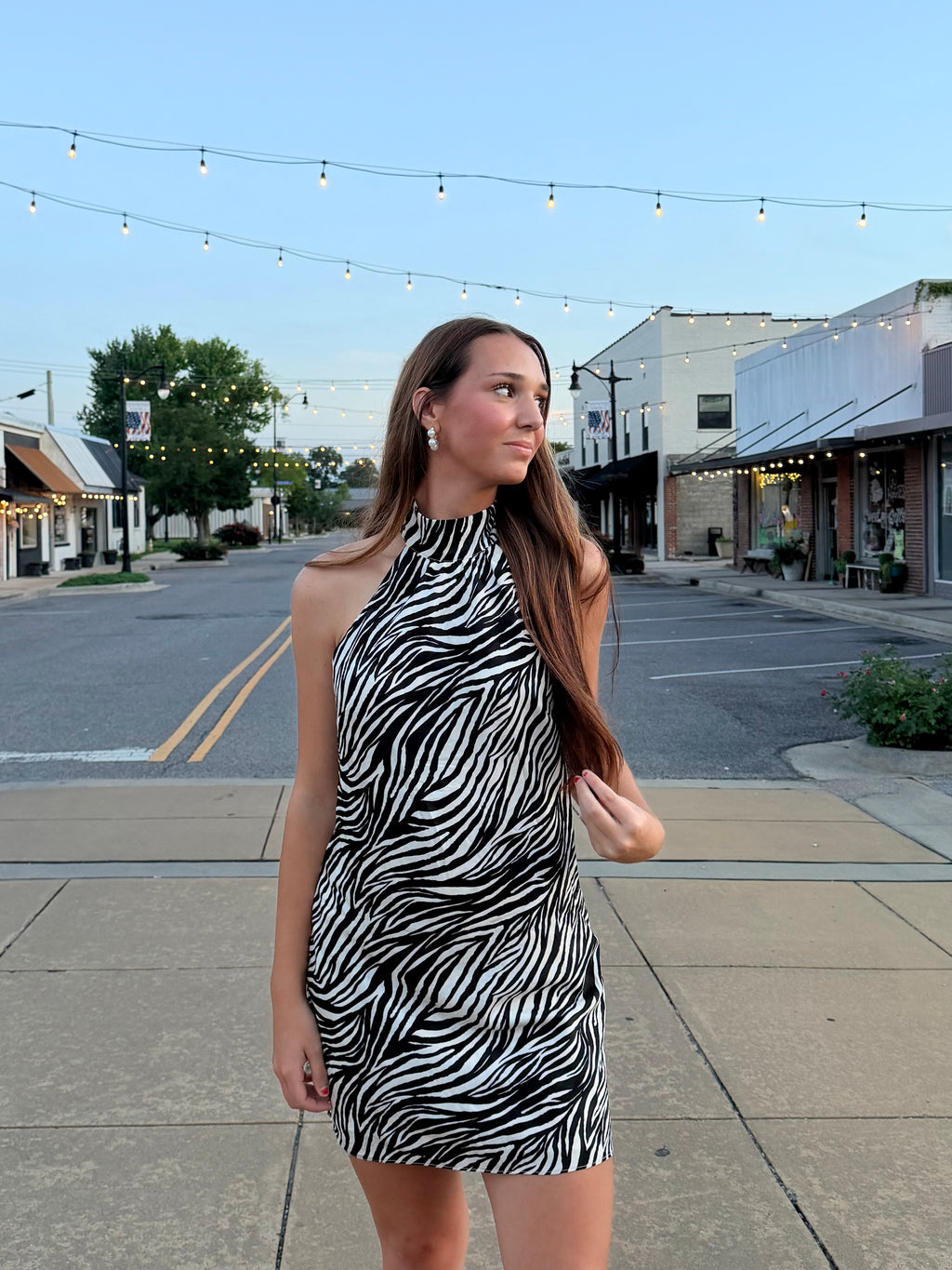 Zebra Dress