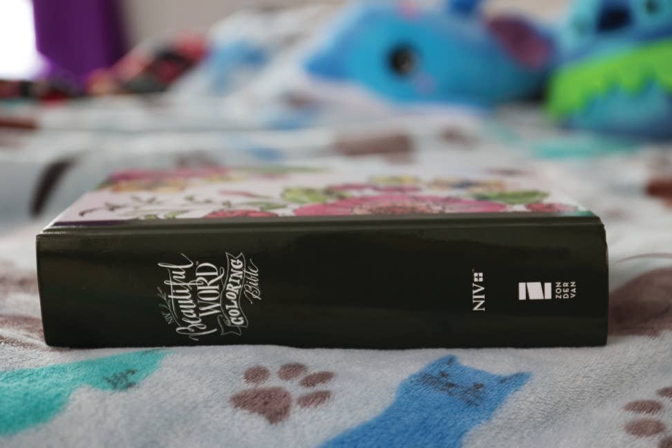 NIV Beautiful Word Coloring Bible for Teen Girls